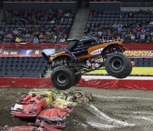 monster mutt rottweiler