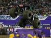 jacksonville-monster-jam-2014-079